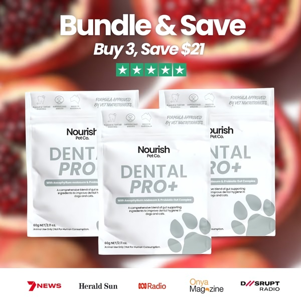 A square-ratio ad creative showcasing dental supplement bags with a clear savings offer, five-star rating, and trust-building press logos.